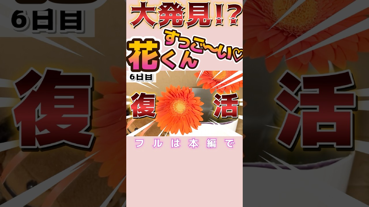 【マジ?】夏休みの研究結果がヤバすぎた#vtuber #新人vtuber #shorts