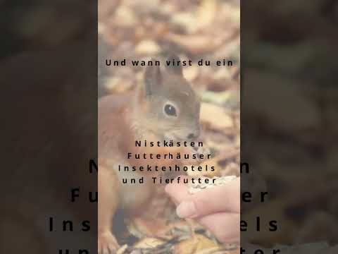 🦔🐦Gib Wildtieren ein