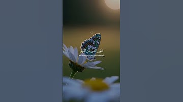 استخدموا الصوت🎧🖤/القارئ إسلام صبحي