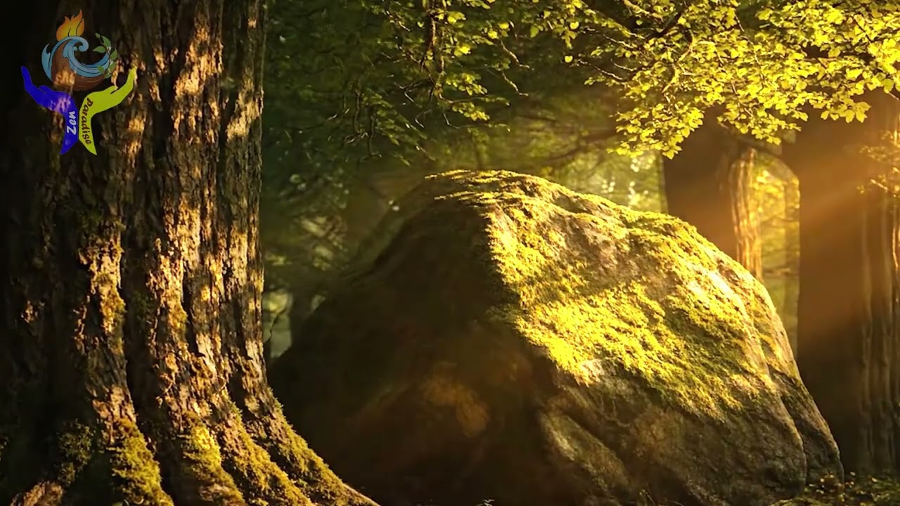 Close Your Eyes, I'll Be Here: Soothing Piano for Deep Comfort & Protection 🌳💚🎹