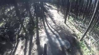 7 27 Moose Mountain