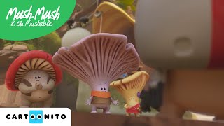 Mush Mush Ve Arkadaşlari Doktor Cartoonito Türkiye Tv