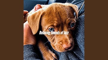 Remarkable Music for Slacking Doggy