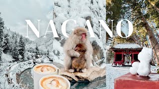 Nagano, Japan’s Hidden Gem | Visiting Snow Monkey Park ♨️ Togakushi Shrine & famous soba 🍜