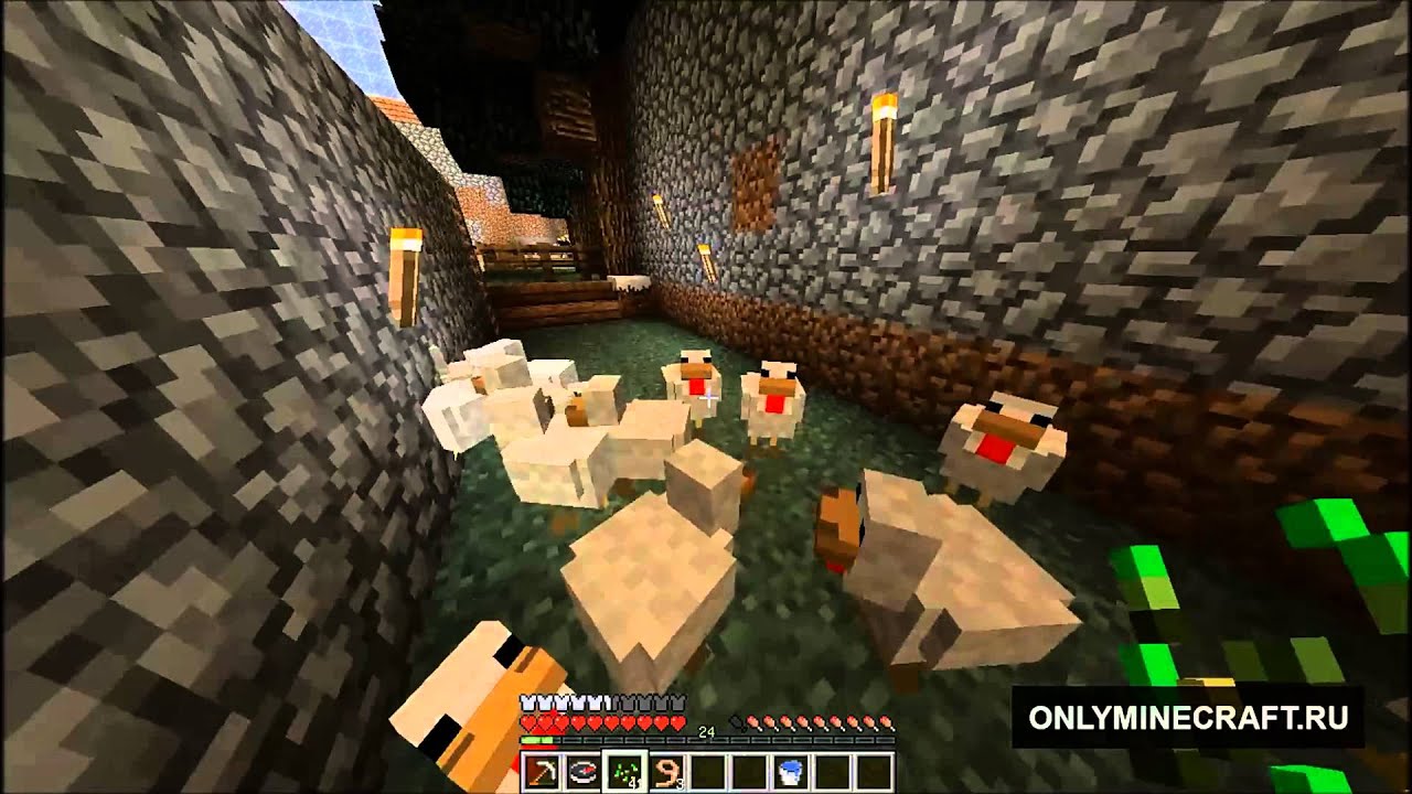 как разводить куриц в minecraft #7