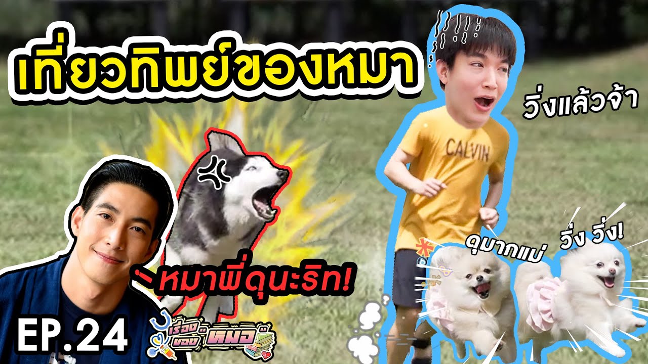 #เรื่องของหมอ​ EP24 I เที่ยวทิพย์บุกโรงแรมน้องหมา feat.หมาของพี่โตโน่
