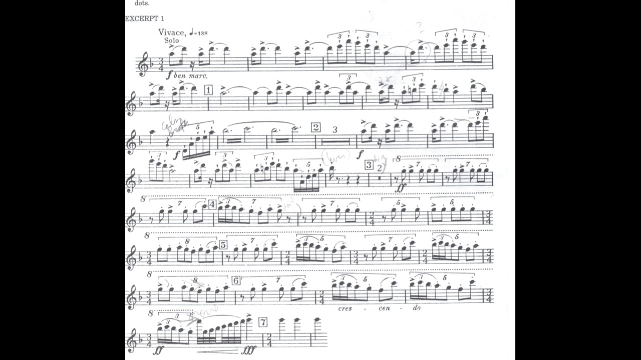 Strawinsky PETRUSHKA flute excerpt/piano YouTube