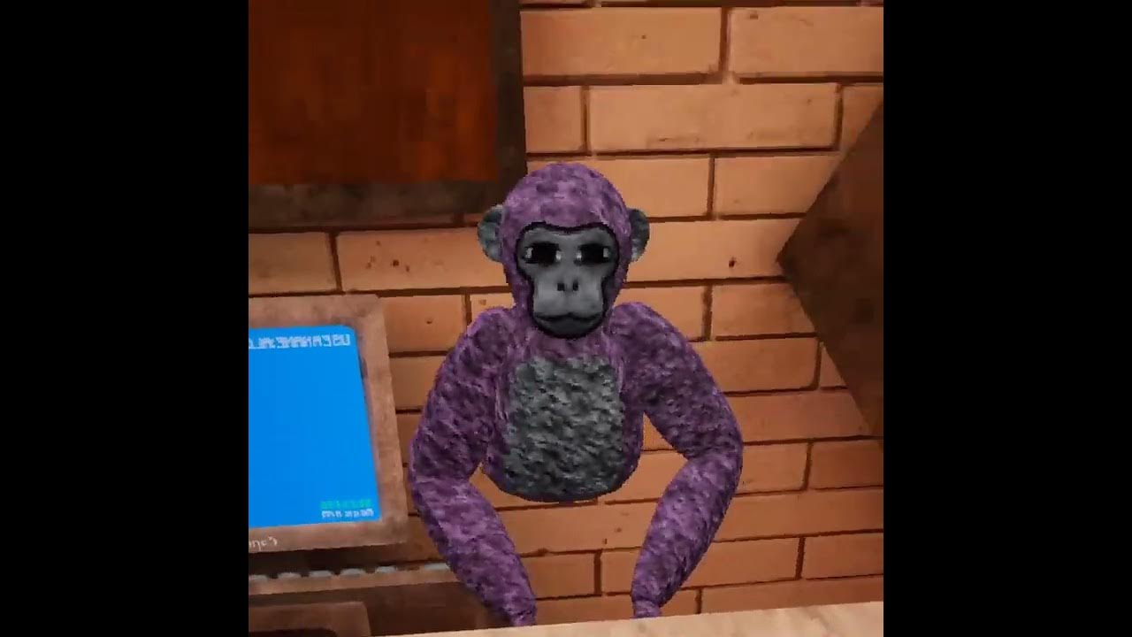 Chimp lab vr youtube