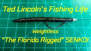 The Florida Rig Weightless Senko! For big bass in heavy cover! 