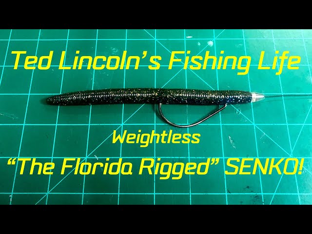 The Florida Rig Weightless Senko! For big bass in heavy cover! 