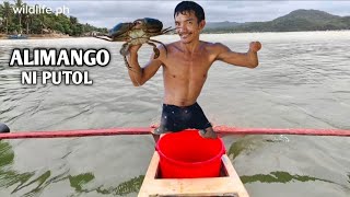 Download Lagu Walang paa at isa lang ang kamay pero napaka daming huling alimango MP3