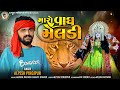 Alpesh pirojpur  maro vagh meldi  new letest gujarati song  bapjistudio1819