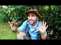 Snapping Turtle BITES Me.. AGAIN!