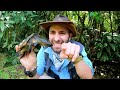 Snapping Turtle BITES Me.. AGAIN!