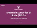 External Economies of Scale I A Level and IB Economics