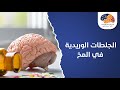الجلطات الوريدية في المخ