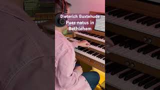 A Christmas Hymn from the Grandfather of German Baroque