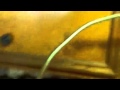 My Moonshine still in action.
