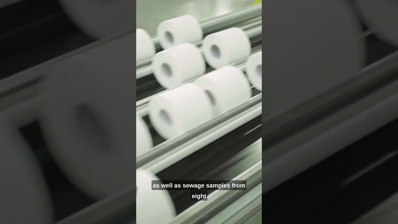 Toxic 'forever chemicals' found in toilet paper around the world