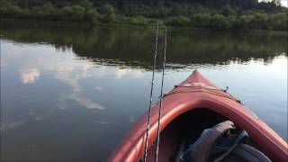 Fishing Techniques: Best Times to Fish