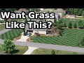 What GRASS SEED is Best for YOU?