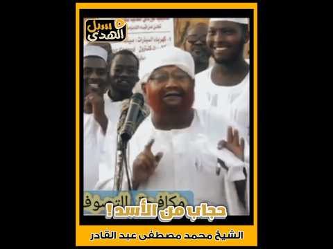 حجاب من الأسد الشيخ محمد مصطفى عبدالقادر اكسبلور