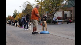 Eric Salas Colorado Dog Training Workshop by Eric Salas Workshops Training Channel 4,320 views 2 years ago 27 minutes