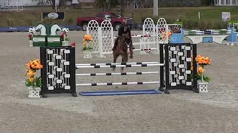 Video of Quimbro ridden by Abigail Russo from Show...