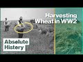 Why Harvesting Was So Important During The War | Wartime Farm EP8 | Absolute History