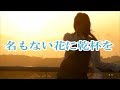 名もない花に乾杯を/山本譲二 🎙旅彦