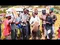 Kisafwa NAIWAGA MAHI UVITILWE NAIKALILAGA KANGA YA UMALAWI NA KING ZYOMO 