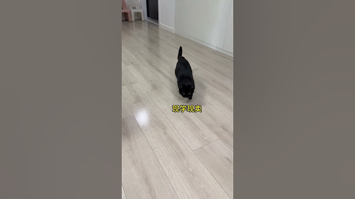 【#一只黑糖啵啵】猫模仿人腿瘸是什么心理? #黑猫#猫咪成精#金牌育言家#聪明小脑袋国宝也可AI