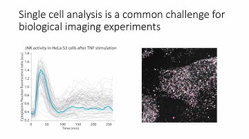 Single-cell biology in a software 2.0 world