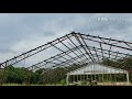 Tear down of chicken house + picts of pups. Tear down of chicken house + picts of pups.