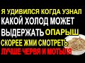 Я УДИВИЛСЯ КОГДА СДЕЛАЛ ЭТО И УЗНАЛ! Какой холод может выдержать ОПАРЫШ