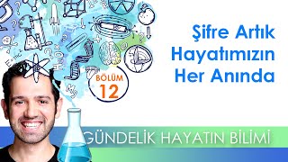 Gündelik Hayatın Bilimi | 12.Bölüm screenshot 5