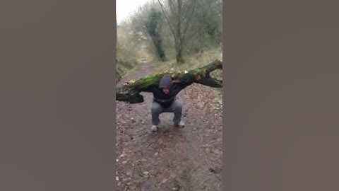 tree squat