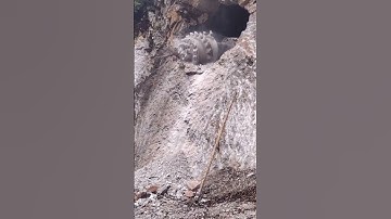 EPIC Live! Tunnel Breakthrough – Watch the Final Stretch Get Blasted Open!