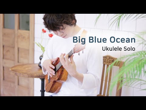 Big Blue Ocean (フィンガースタイル) - 押尾コータロー