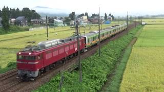 上越線 配9724レ EF81-134牽引E231系3000番台配給輸送 浦佐→五日町にて