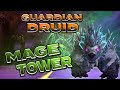 Karatechamp vs Guardian Druid Mage Tower!