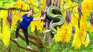 Harvest Forest Snake Tail (Scary Secret Inside The Primeval Forest)  Goes to the market sell