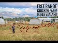 Ep.17 O'Neill's Free Range Chicken Farm  in South Island  , New Zealand