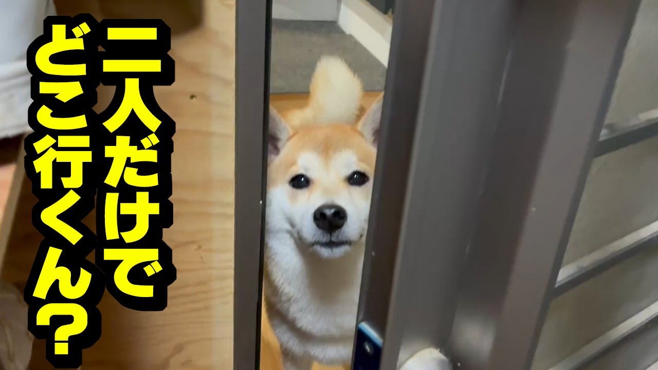 育犬放棄して夫婦で釣りに行った結果…