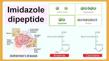 imidazole dipeptide