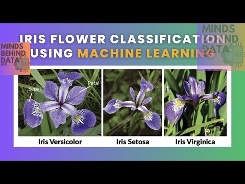 Iris Flower Classification | CodSoft Internship Project