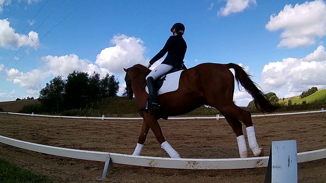 Camilla Thinggaard på Schauf i  LC3