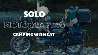 Solo MotoCamping / SoloRide / Camping in Forest / ASMR