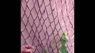 DIY - Trellis for climbing plants (Sudha Creations)