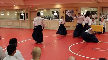 Mike Jones - Aikido - Randori - Yondan Test